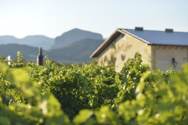 Azienda vinicola Bodega José L. Ferrer